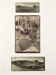 Image description is not available for 2013.006